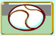(2005/5/17 �U�� 04:11:00)